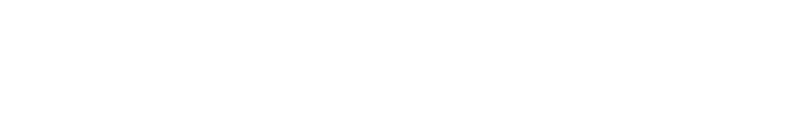 Logo ICS Lleida