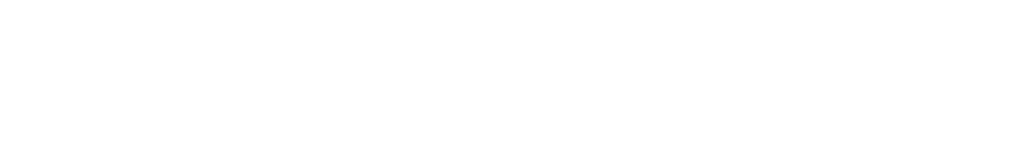 Logo Atenció Primària Lleida